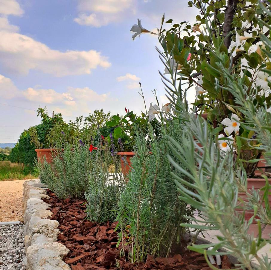 Le Vigne Di Annalisa Sweet Relax Rooms In Unesco Prosecco D.O.C.G. Farra di Soligo Екстериор снимка